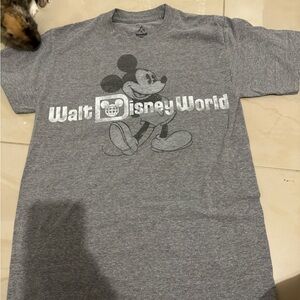 Mickey Disney Land Shirt
